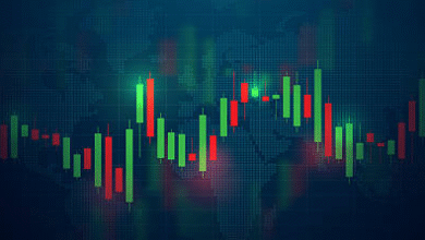 The Beginner’s Toolkit for Stockity Trading Success
